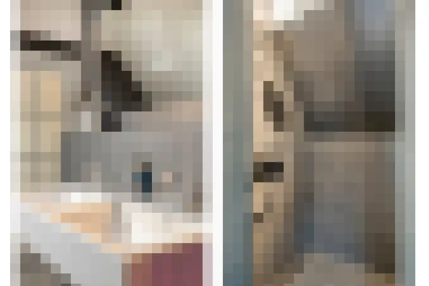 Haarbroeksteeg 6 Harfsen thumbnail 69