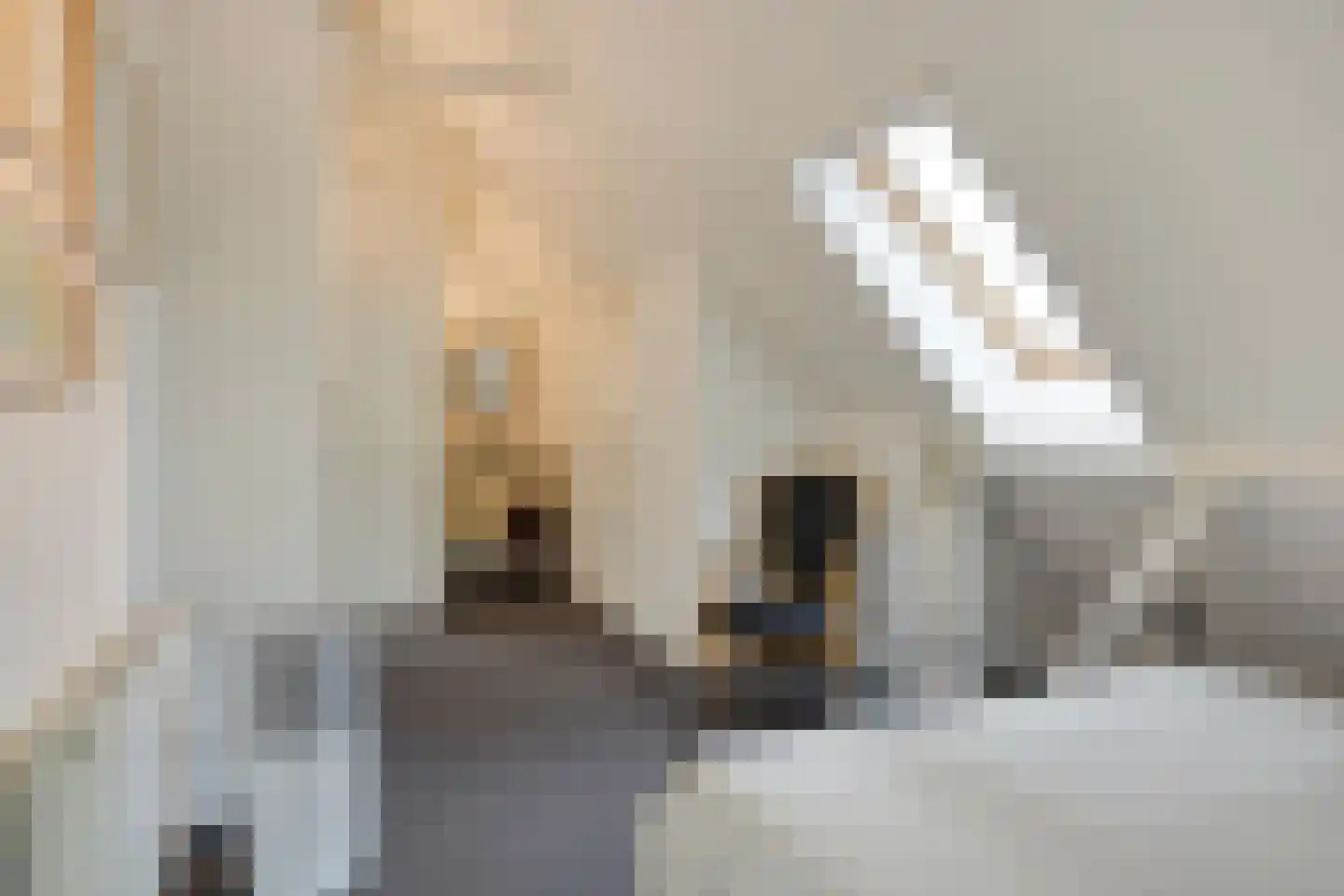 Haarbroeksteeg 6 Harfsen thumbnail 71
