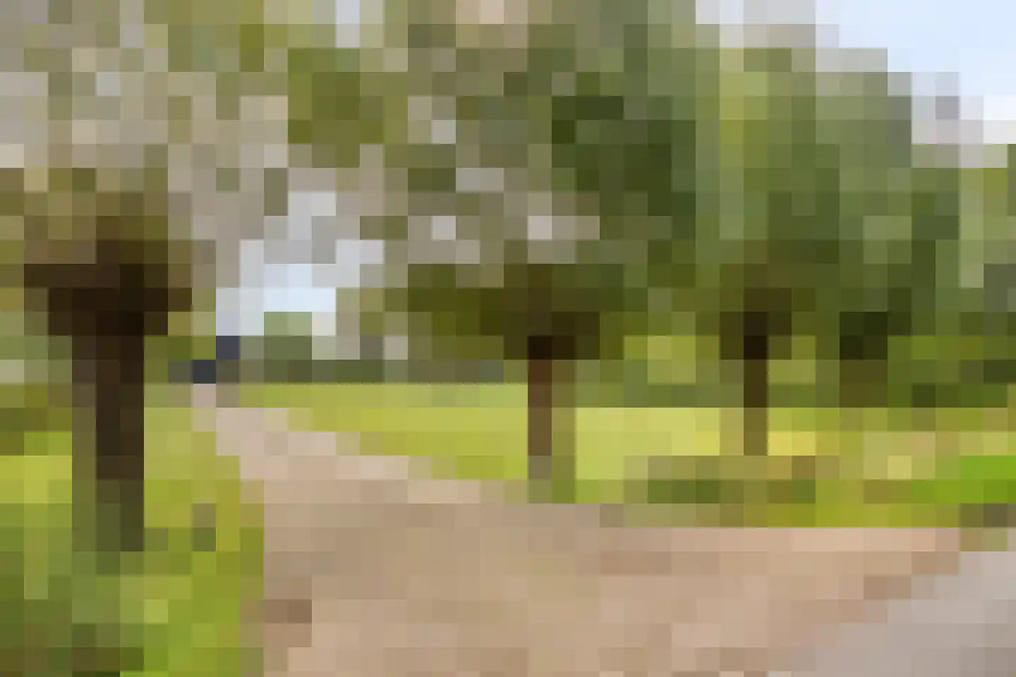 Haarbroeksteeg 6 Harfsen thumbnail 73