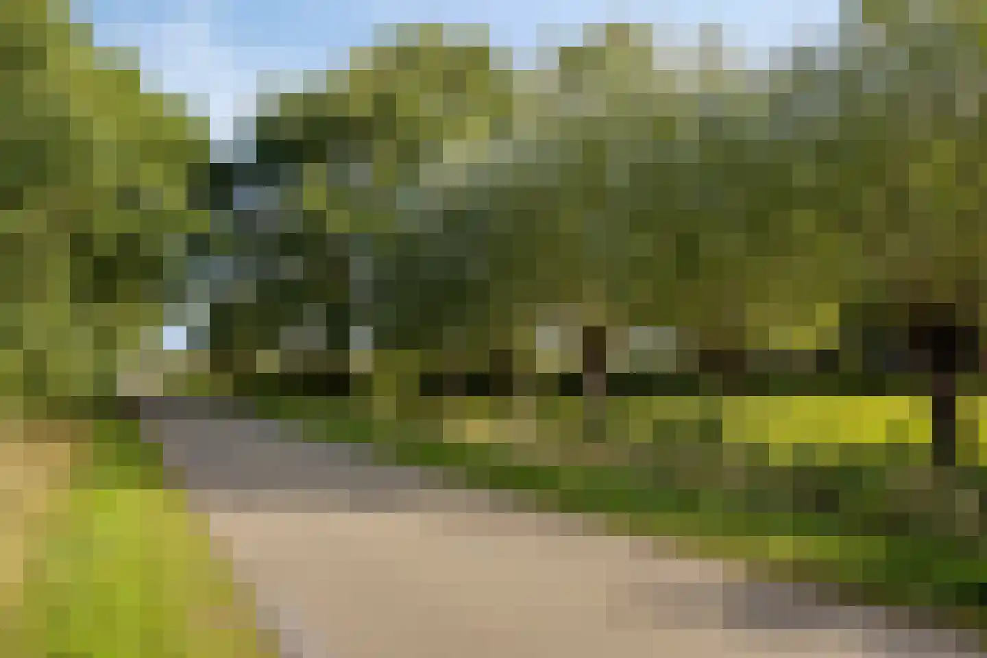 Haarbroeksteeg 6 Harfsen thumbnail 74