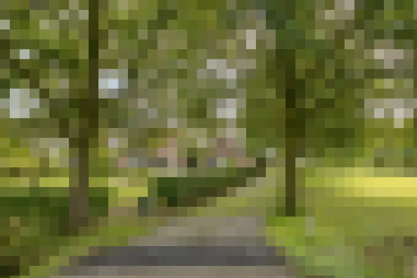 Haarbroeksteeg 6 Harfsen thumbnail 75