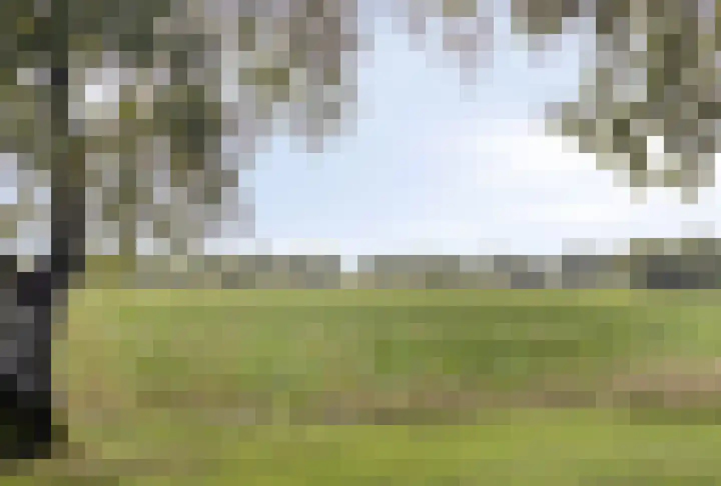 Haarbroeksteeg 6 Harfsen thumbnail 76