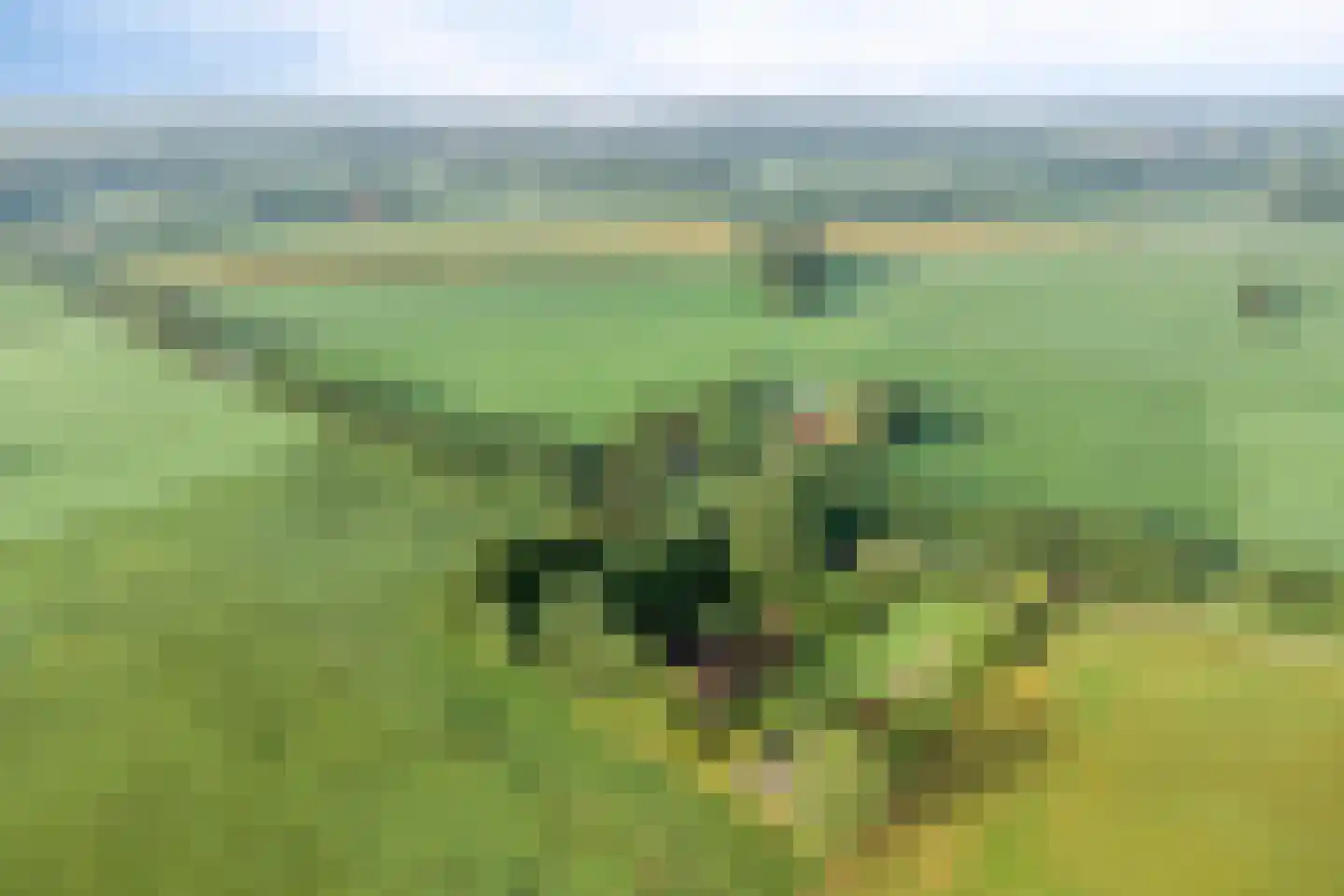 Haarbroeksteeg 6 Harfsen thumbnail 77