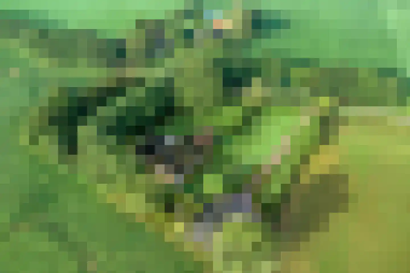 Haarbroeksteeg 6 Harfsen thumbnail 78