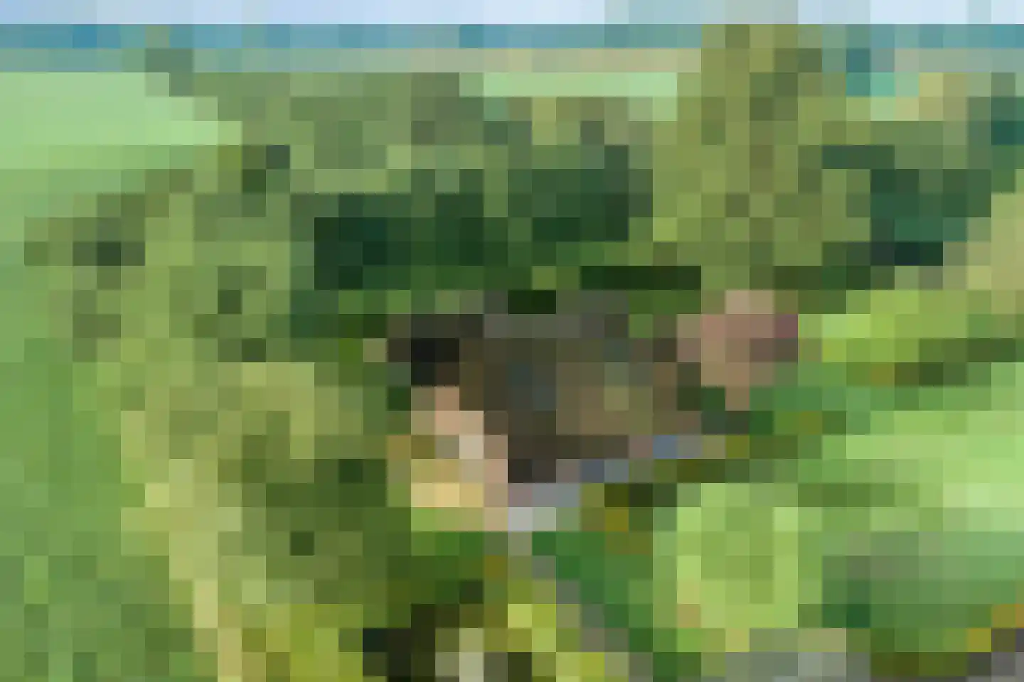 Haarbroeksteeg 6 Harfsen thumbnail 79