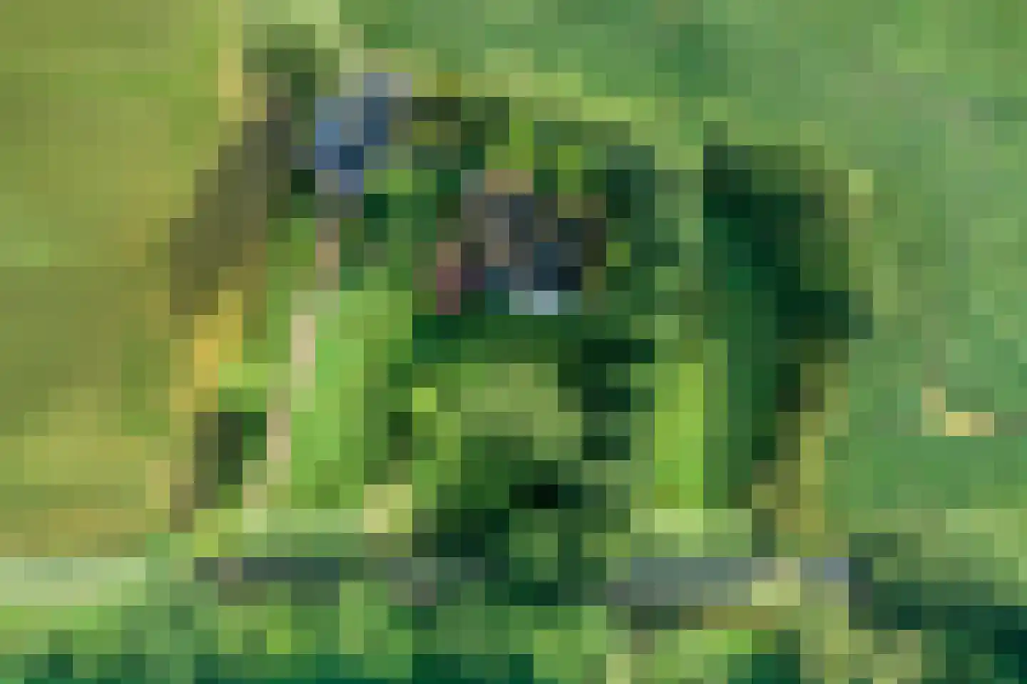 Haarbroeksteeg 6 Harfsen thumbnail 80