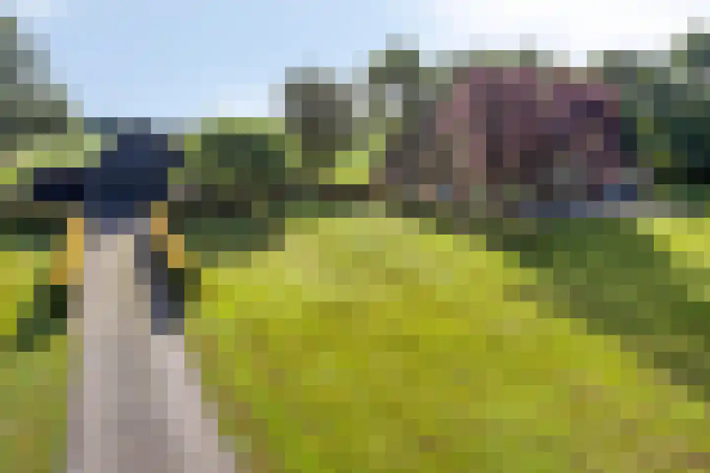 Haarbroeksteeg 6 Harfsen thumbnail 9