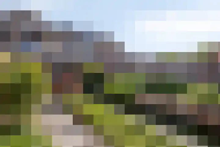 Haardboomstraat 17 Beek thumbnail 16
