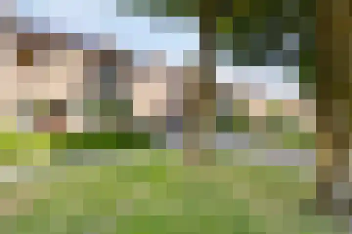 Haardboomstraat 17 Beek thumbnail 32
