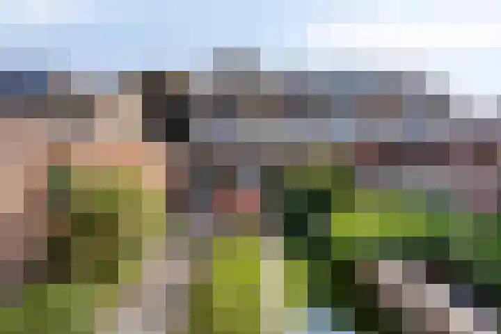 Haardboomstraat 17 Beek thumbnail 4