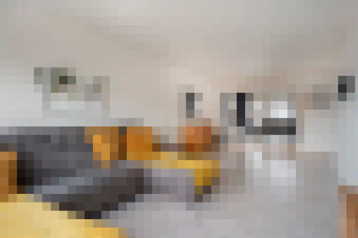 Haardboomstraat 42 Beek thumbnail 10