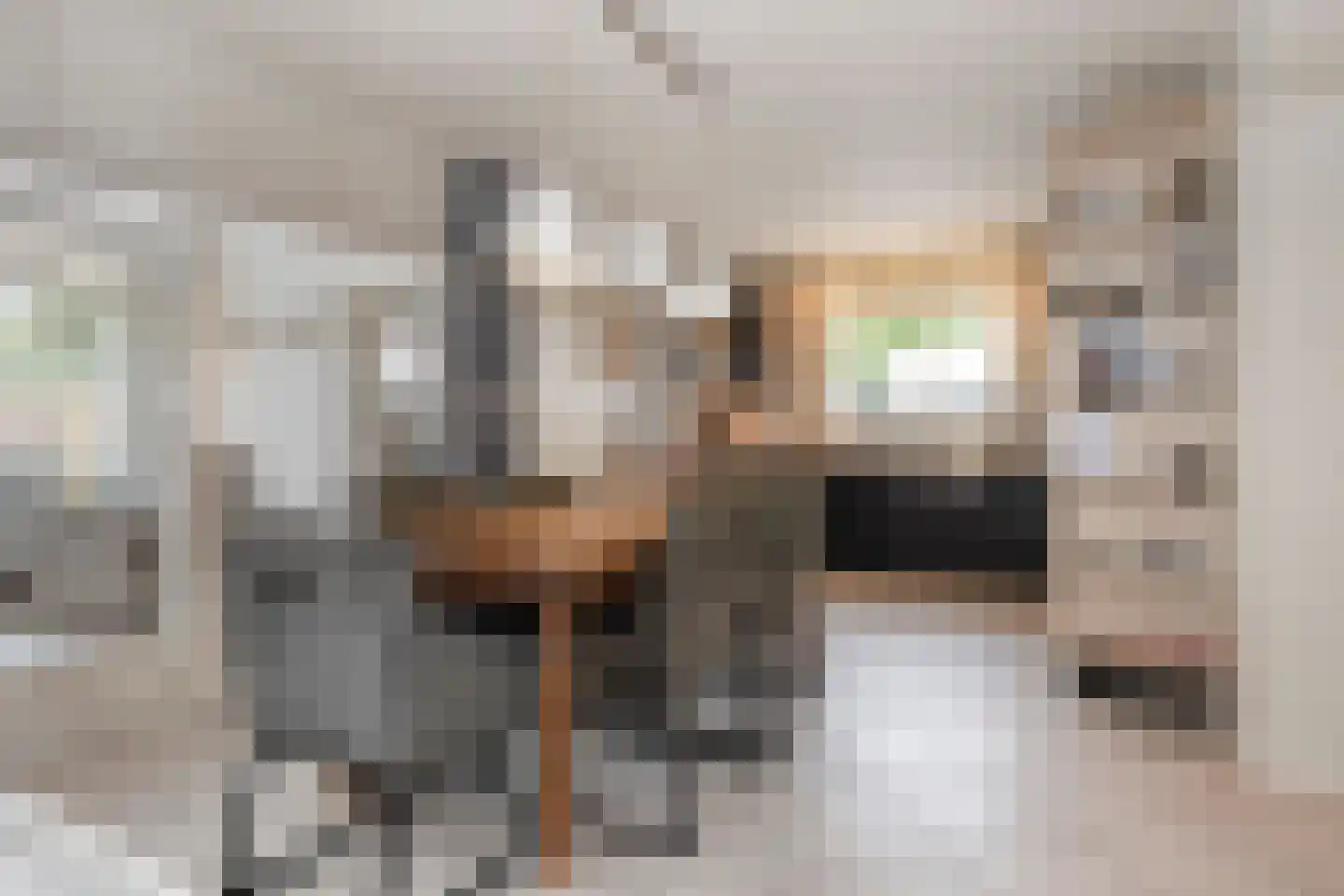 Haardboomstraat 42 Beek thumbnail 21