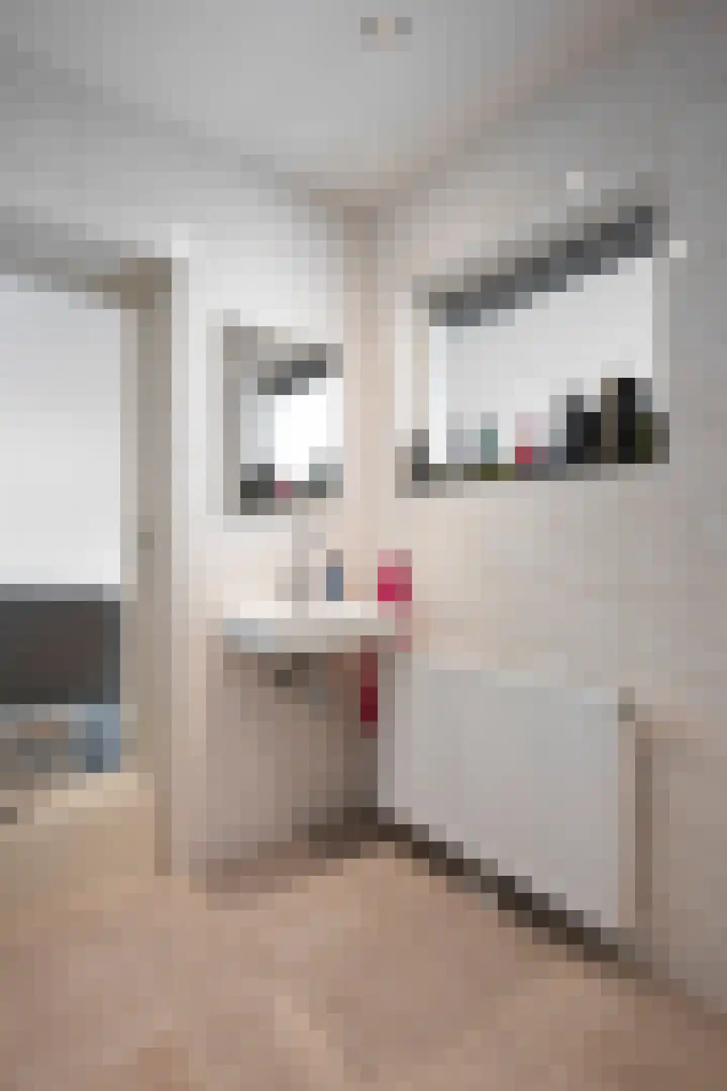 Haardboomstraat 42 Beek thumbnail 25