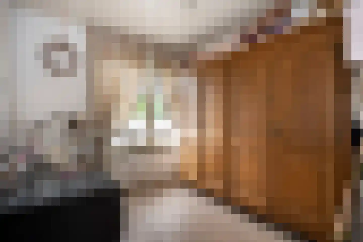 Haardboomstraat 42 Beek thumbnail 18
