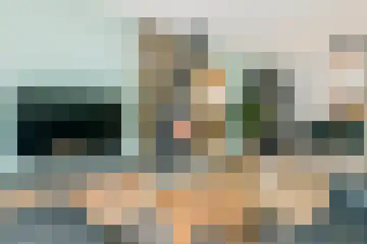 Haardijk 2 Zoelmond thumbnail 10