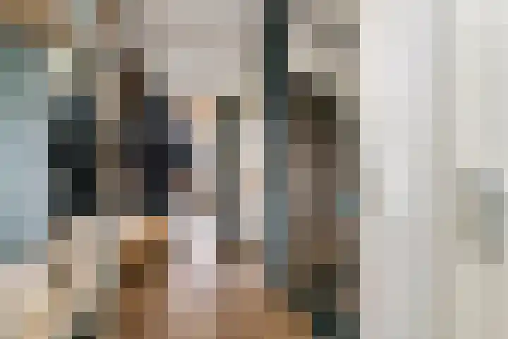 Haardijk 2 Zoelmond thumbnail 13