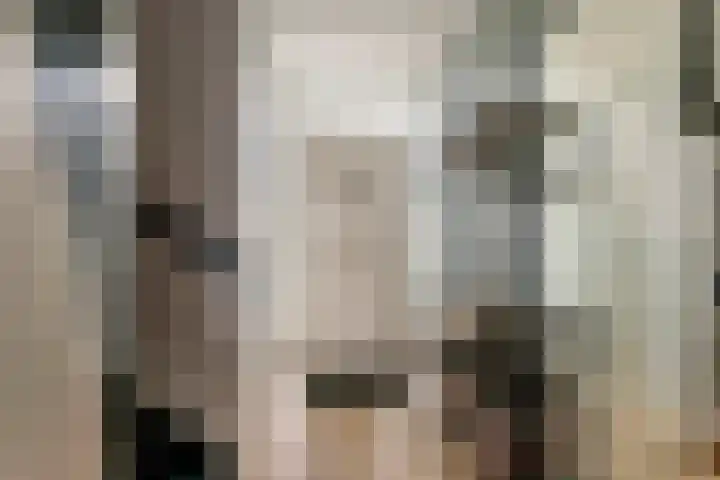 Haardijk 2 Zoelmond thumbnail 14