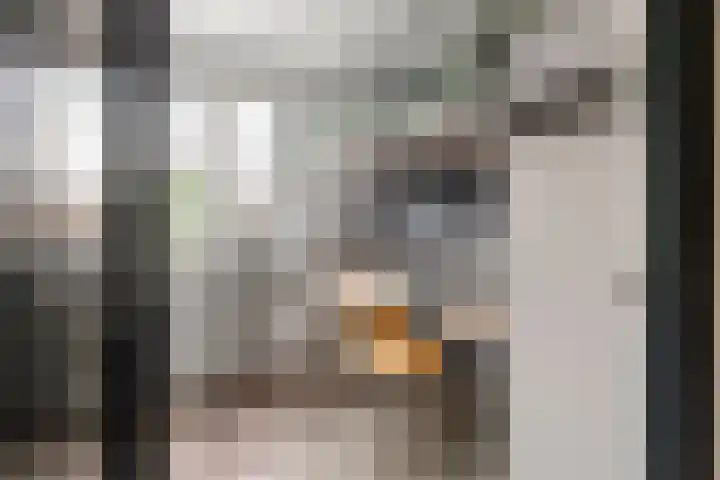 Haardijk 2 Zoelmond thumbnail 17