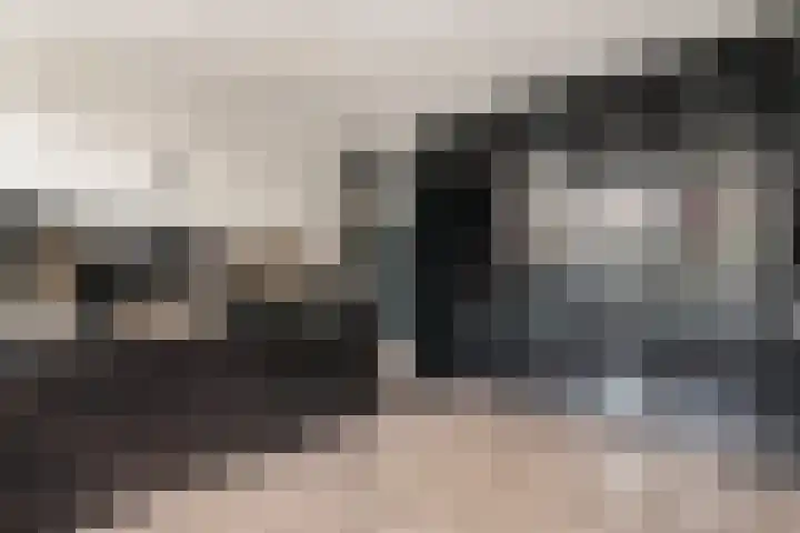 Haardijk 2 Zoelmond thumbnail 19