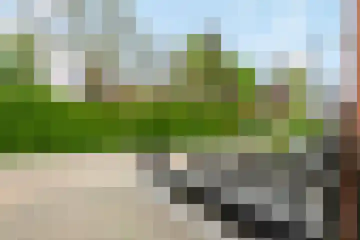 Haardijk 2 Zoelmond foto 2