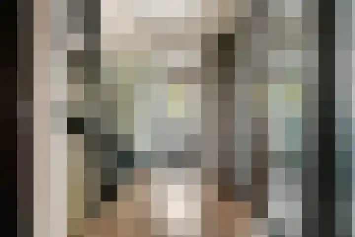Haardijk 2 Zoelmond thumbnail 20