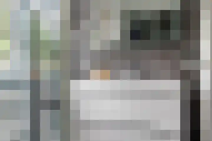 Haardijk 2 Zoelmond thumbnail 22