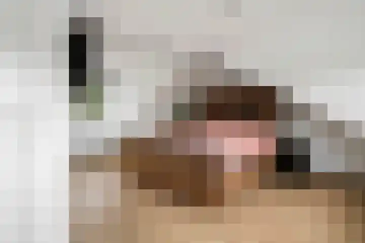 Haardijk 2 Zoelmond thumbnail 24