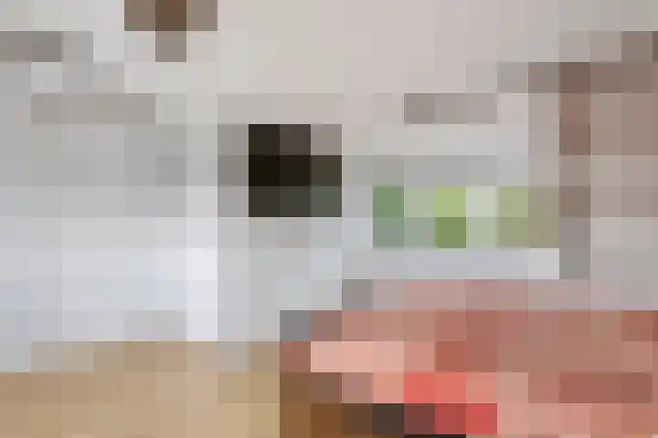 Haardijk 2 Zoelmond thumbnail 25