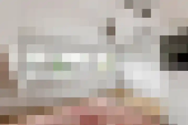 Haardijk 2 Zoelmond thumbnail 27