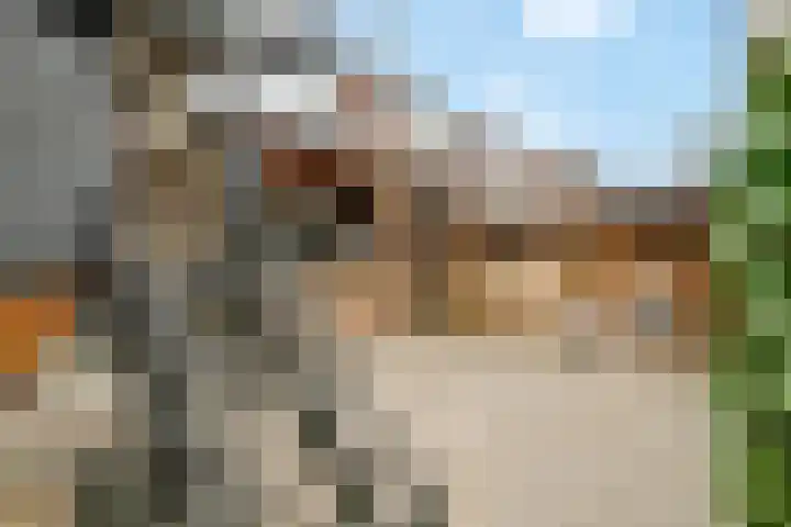 Haardijk 2 Zoelmond thumbnail 28