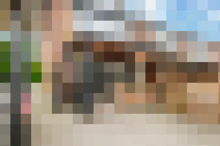 Haardijk 2 Zoelmond thumbnail 30