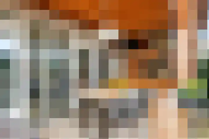 Haardijk 2 Zoelmond thumbnail 31