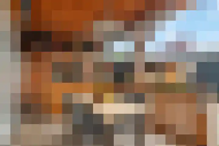 Haardijk 2 Zoelmond thumbnail 32