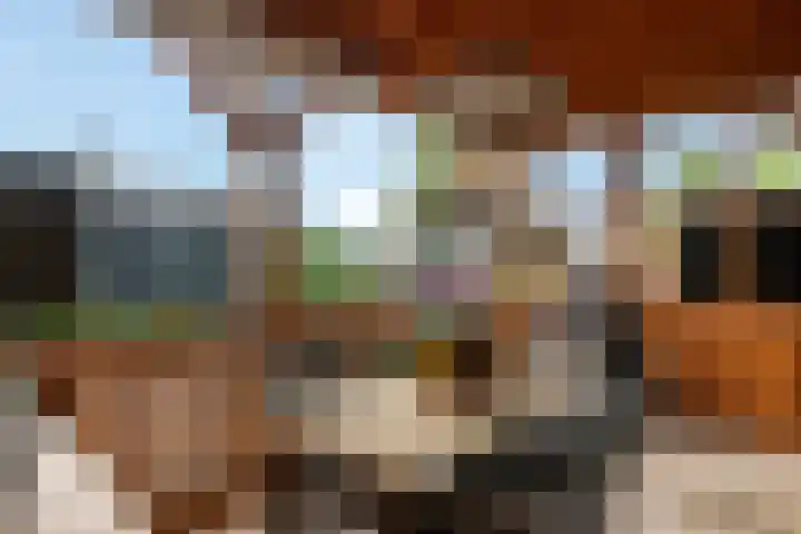 Haardijk 2 Zoelmond thumbnail 33