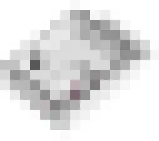 Haardijk 2 Zoelmond thumbnail 36