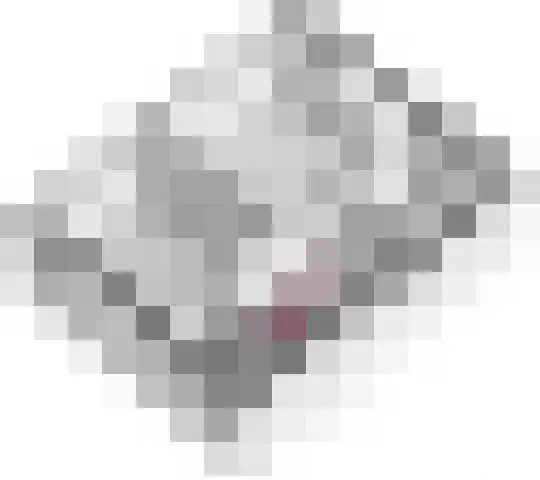 Haardijk 2 Zoelmond thumbnail 38