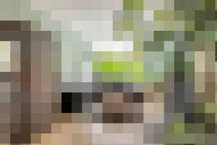 Haardijk 2 Zoelmond thumbnail 7