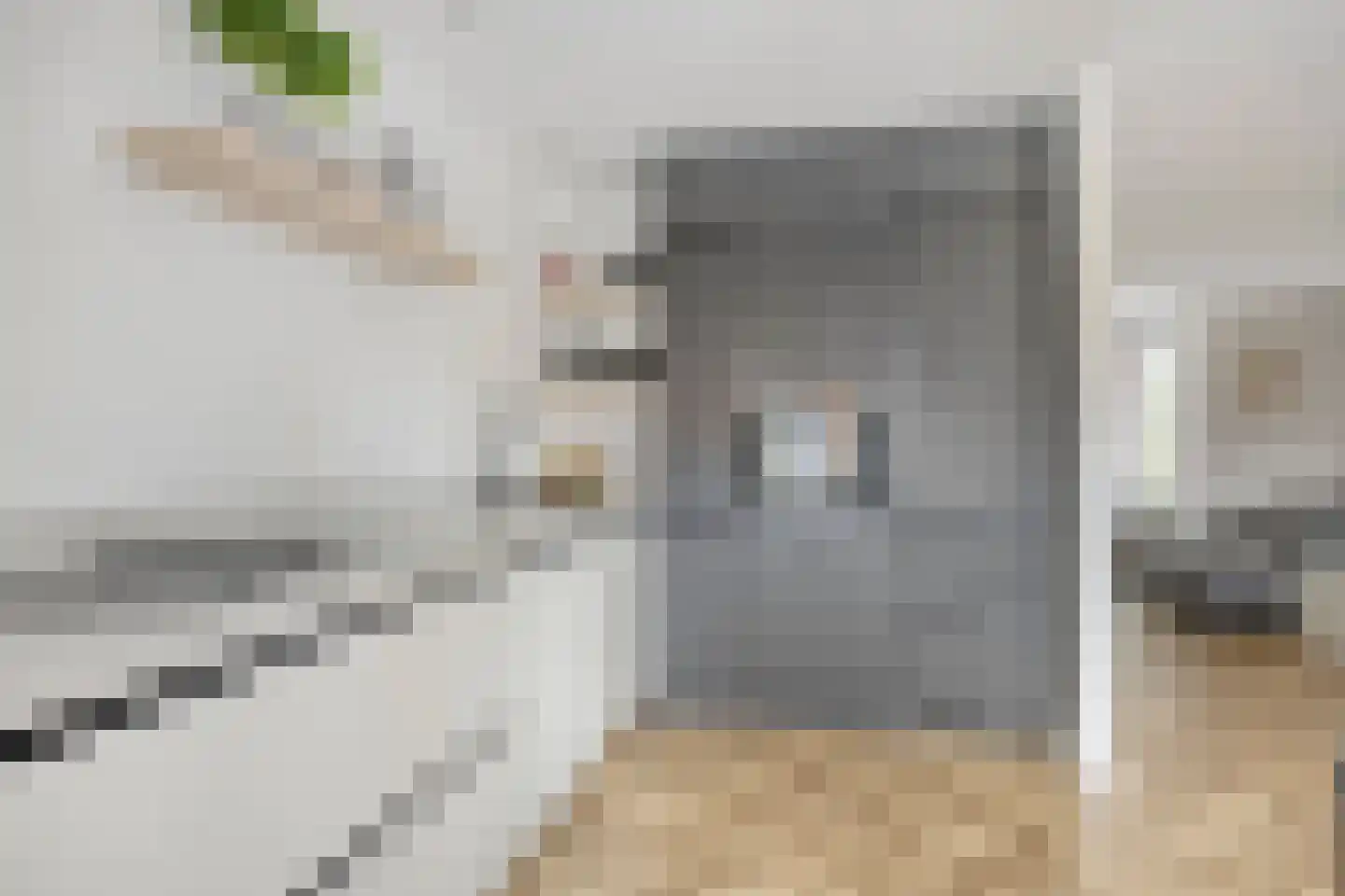 Haardijk 6 Zoelmond thumbnail 13