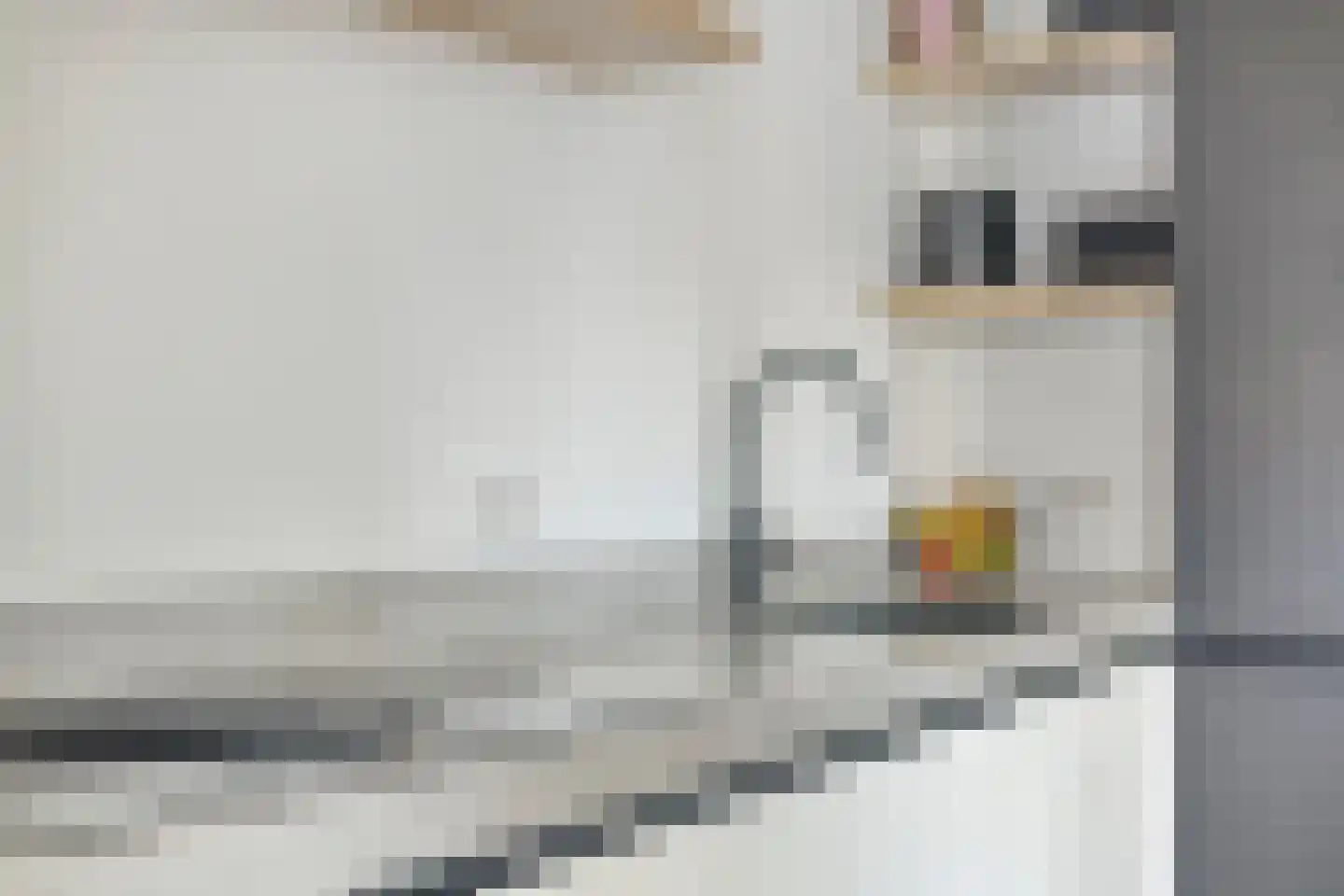 Haardijk 6 Zoelmond thumbnail 14
