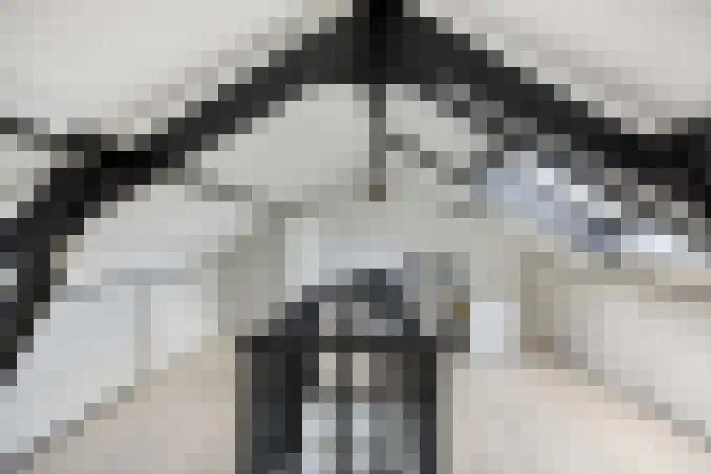 Haardijk 6 Zoelmond thumbnail 29