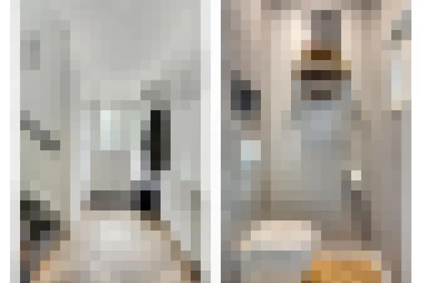 Haardijk 6 Zoelmond thumbnail 7