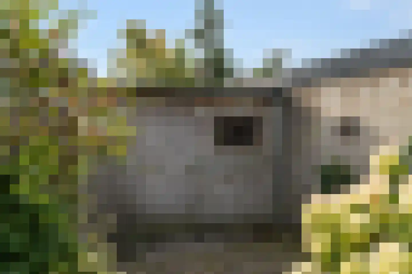 Haardries 18 Bavel thumbnail 22