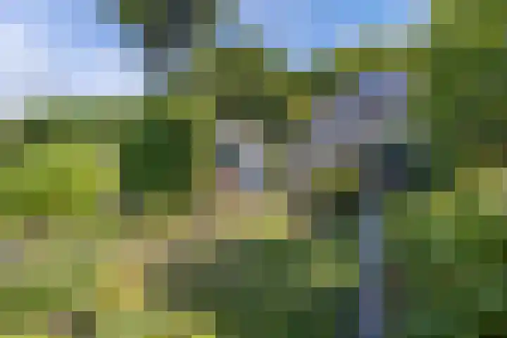 Haardstedelaan 19 a Huizen thumbnail 37