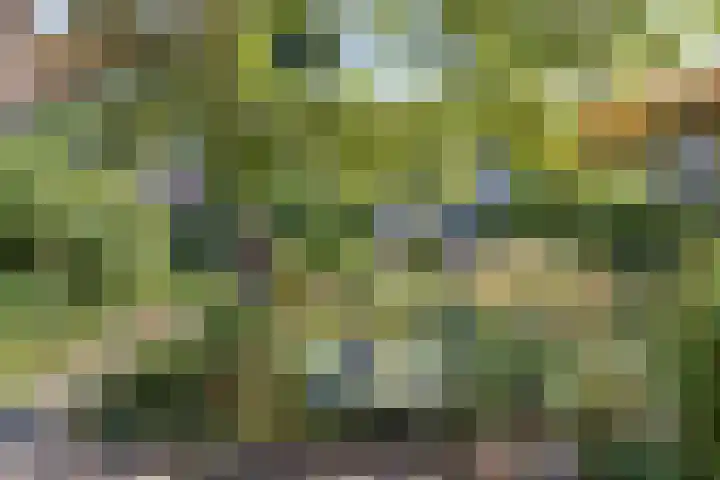 Haardstedelaan 19 a Huizen thumbnail 38