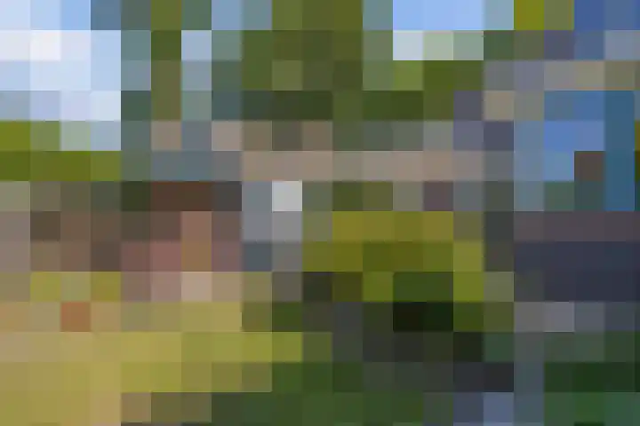 Haardstedelaan 19 a Huizen thumbnail 41