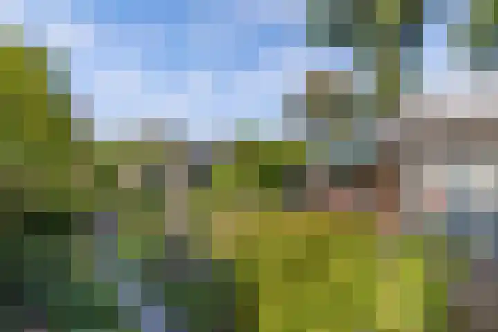 Haardstedelaan 19 a Huizen thumbnail 43