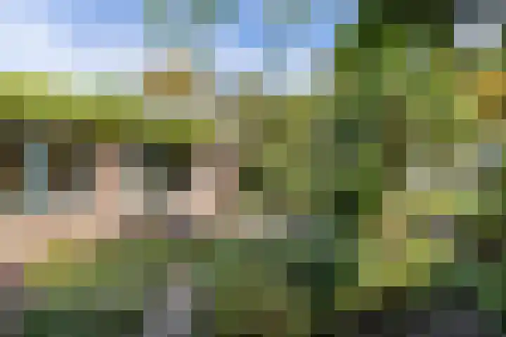 Haardstedelaan 19 a Huizen thumbnail 45