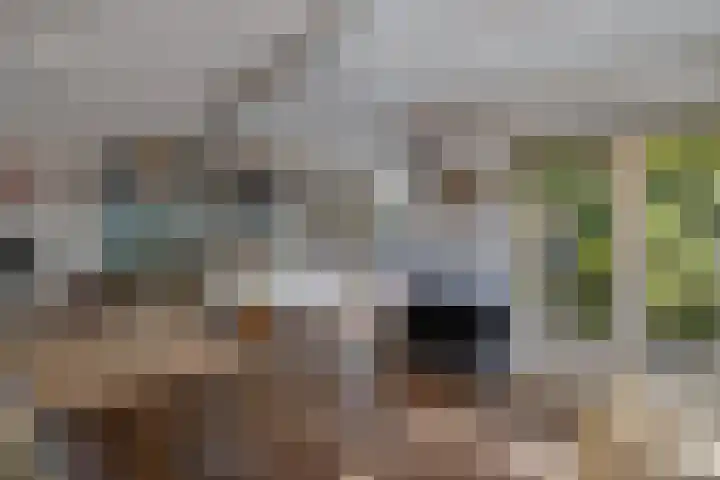 Haardstedelaan 19 a Huizen thumbnail 48