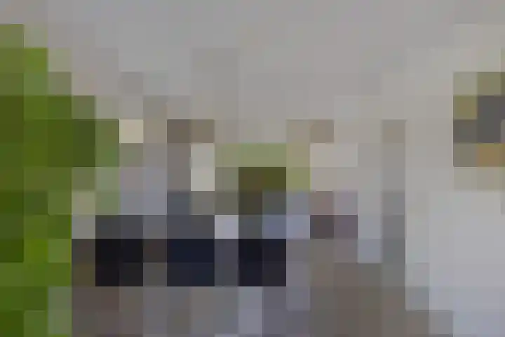 Haardstedelaan 19 a Huizen thumbnail 5