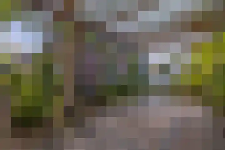Haardstedelaan 19 a Huizen thumbnail 51